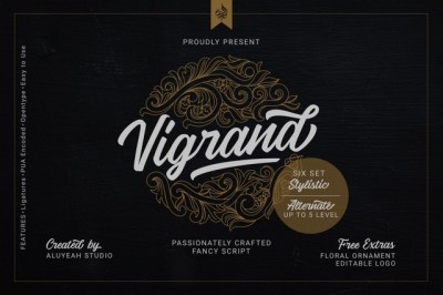 Vigrand Script Font