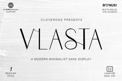 Vlasta Minimal Modern Sans Display Font