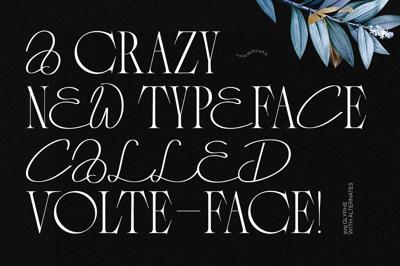 VOLTE-FACE - Serif & Script Font Free Download