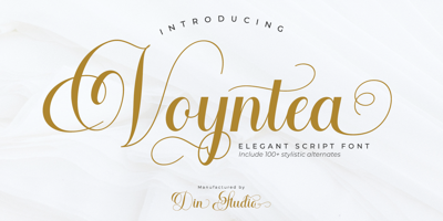 Voyntea Free Download