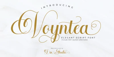 Voyntea Font