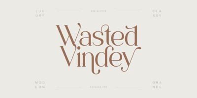 Wasted Vindey Free Download