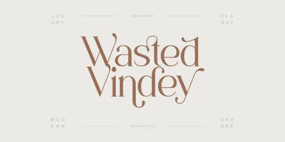 Wasted Vindey Font