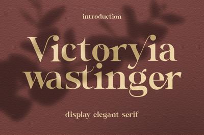 Wastinger Elegant Display Free Download