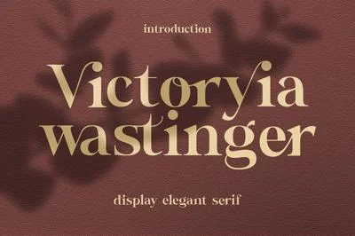 Wastinger Elegant Display Font