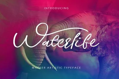Waterlife Font