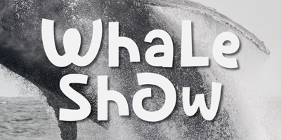 Whale Show Free Download