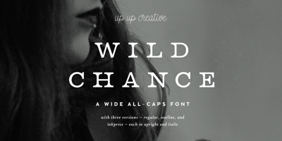 Wild Chance Free Download