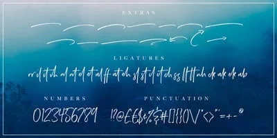 Wild Spirit Font