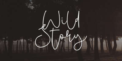 Wild Story Free Download