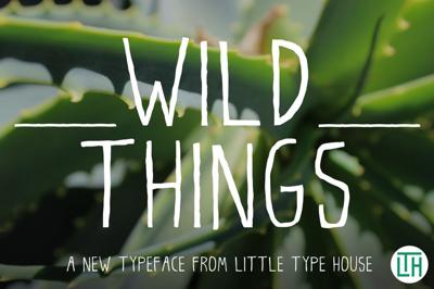 Wild Things Free Download