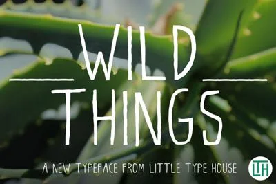Wild Things Font
