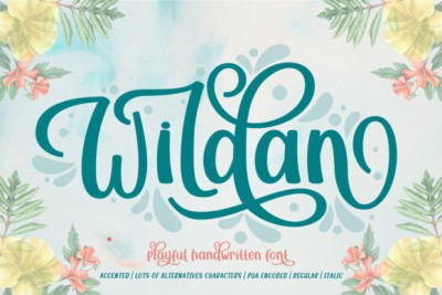 Wildan Font