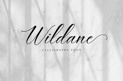 Wildane | Calligraphy Font Free Download