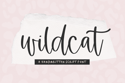 Wildcat | Handwritten Script Font Free Download