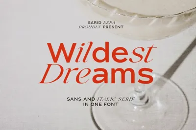 Wildest Dreams - Display Font Free Download