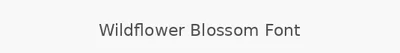 Wildflower Blossom Font