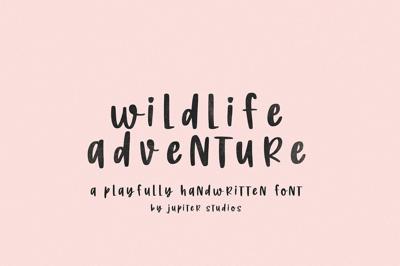 Wildlife Adventure Font Free Download