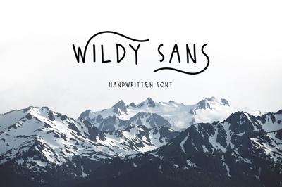 Wildy Sans Free Download