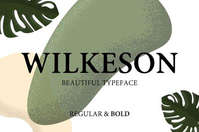 Wilkeson Modern Serif Typeface Free Download