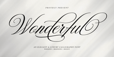 Wonderful Script Font