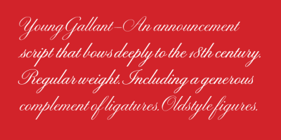 Young Gallant Font