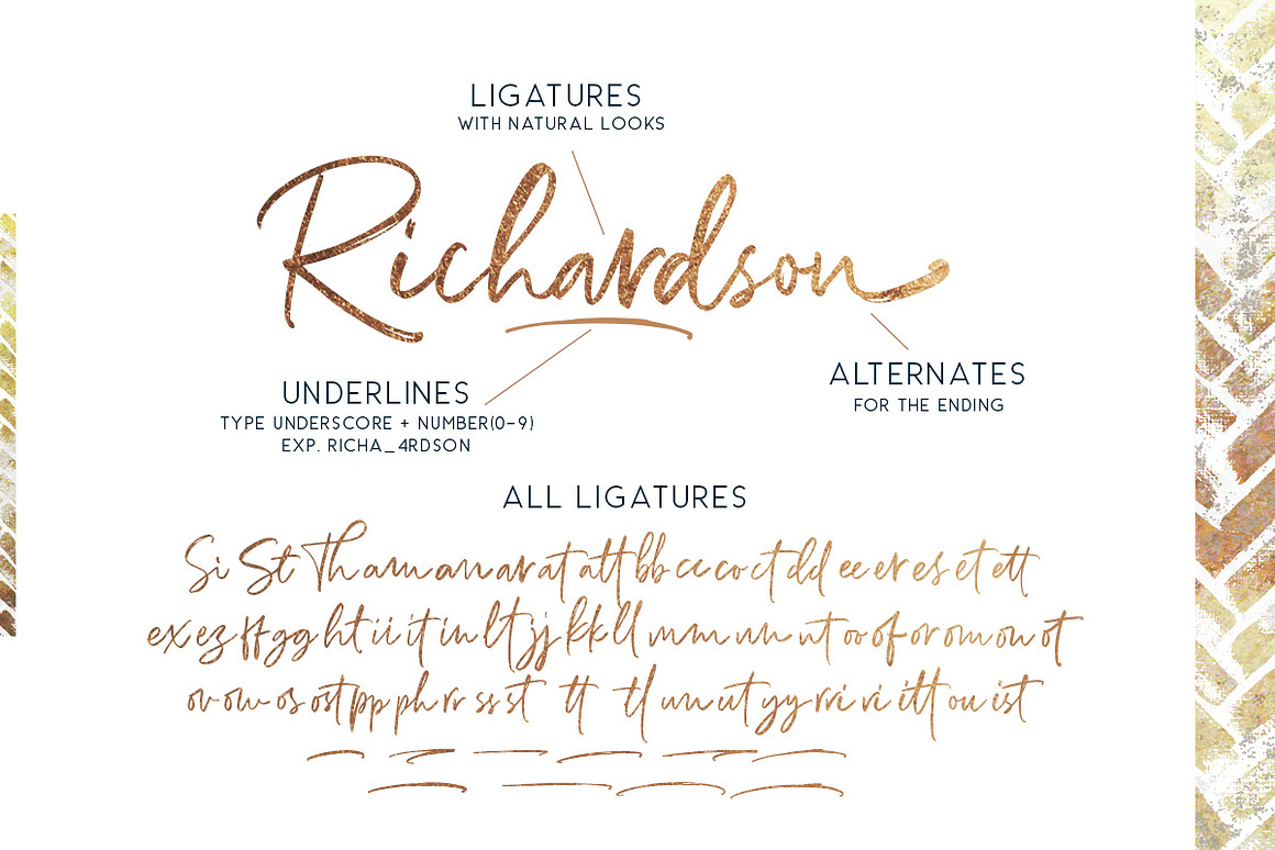 Richardson - Signature Brush Font Free Download