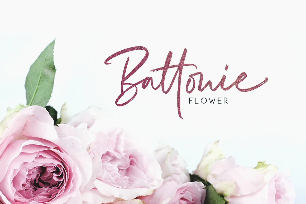 Richardson - Signature Brush Font