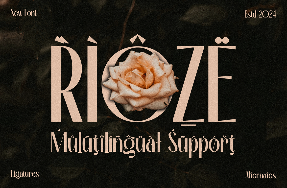 Rioze - Sans serif Elegant Font Free Download