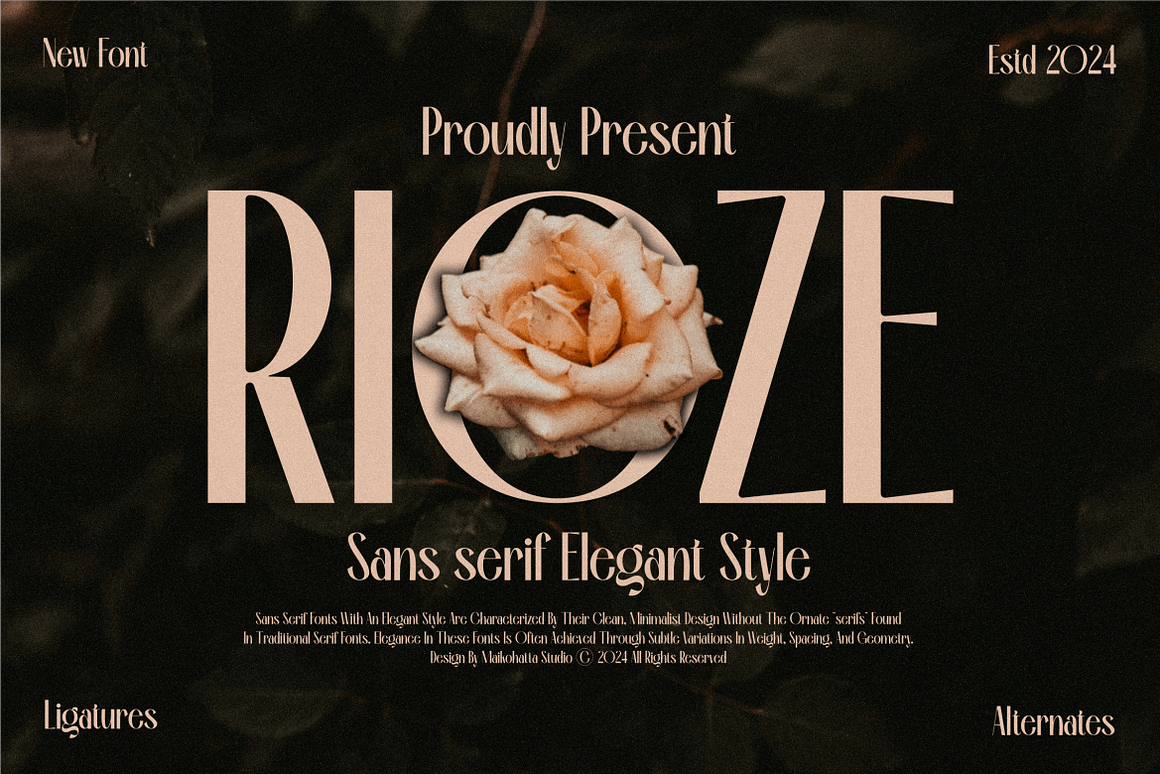 Rioze - Sans serif Elegant Font Free Download