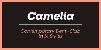 RNS Camelia Font Free Download