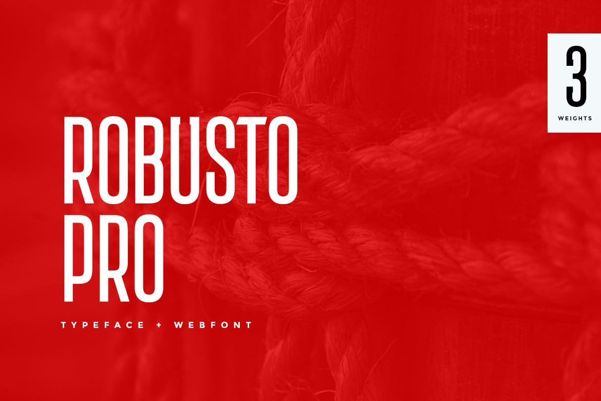 Robusto Pro Modern Typeface + WebFont Free Download