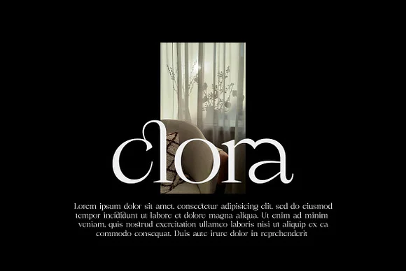 Rouncile - Clean Display Serif Font