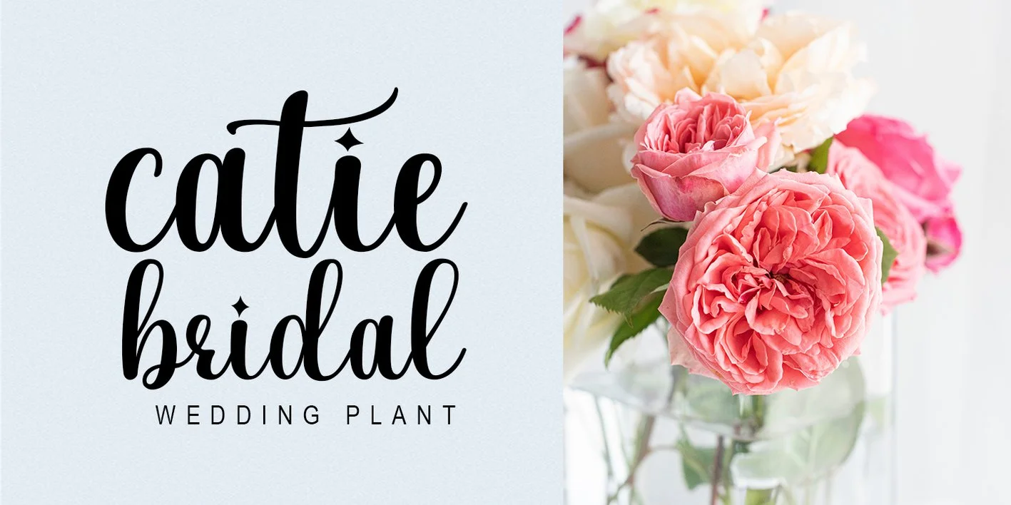 Sattila Font