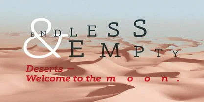 Schnebel Slab Pro Font