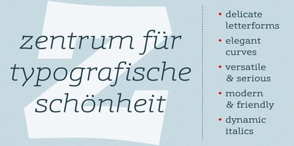 Schnebel Slab Pro Font Free Download