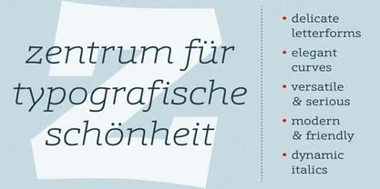 Schnebel Slab Pro Font