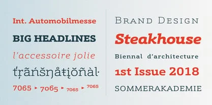 Schnebel Slab Pro Font