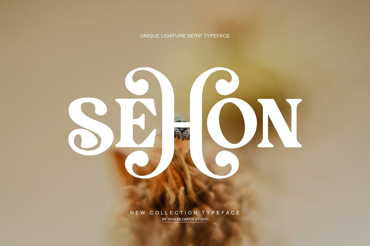 SEHON LIGATURE SERIF TYPEFRACE Free Download Free Download