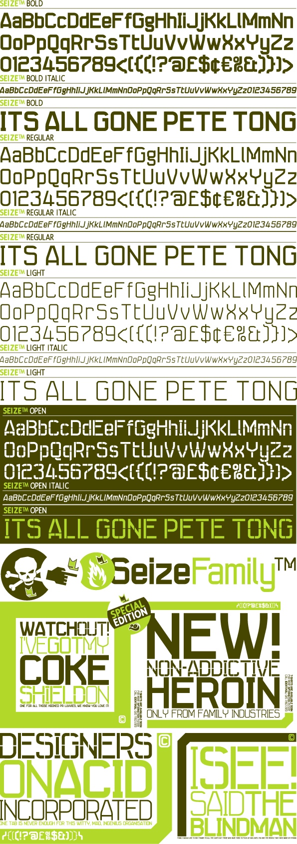 Seize Font Free Download