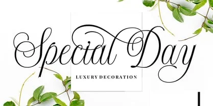 Shintosa Script Font