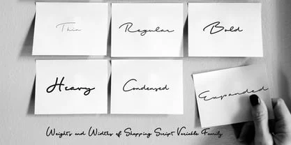 Shopping Script Font