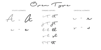 Shopping Script Font