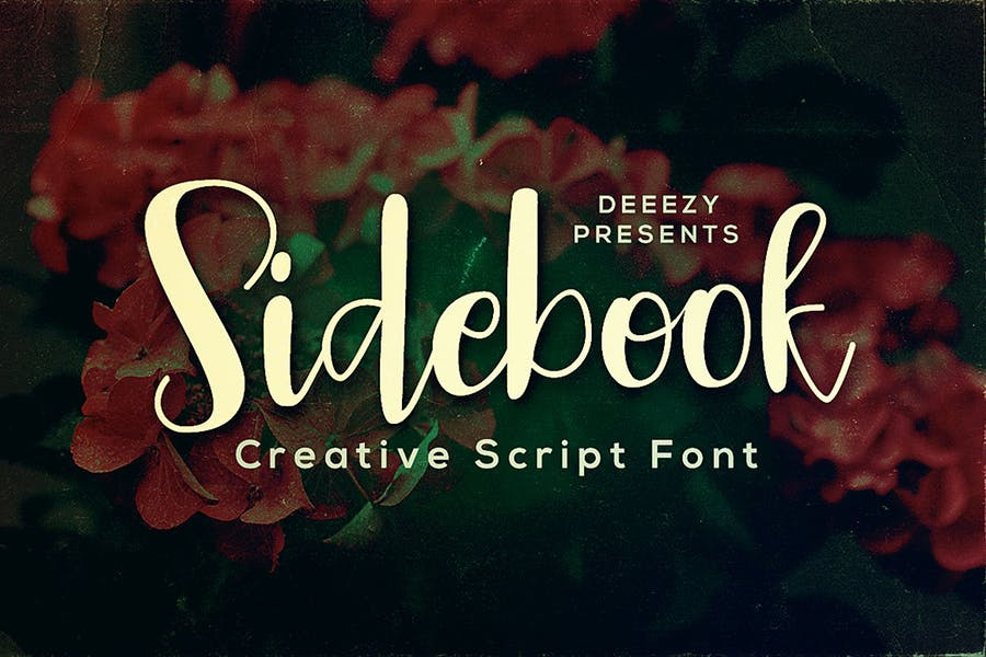 Sidebook Script Font Free Download