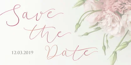 Soft Whisperings Calligraphic Font