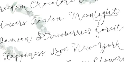 Soft Whisperings Calligraphic Font