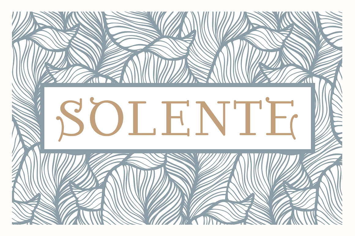 Solente Nouveau Font Free Download