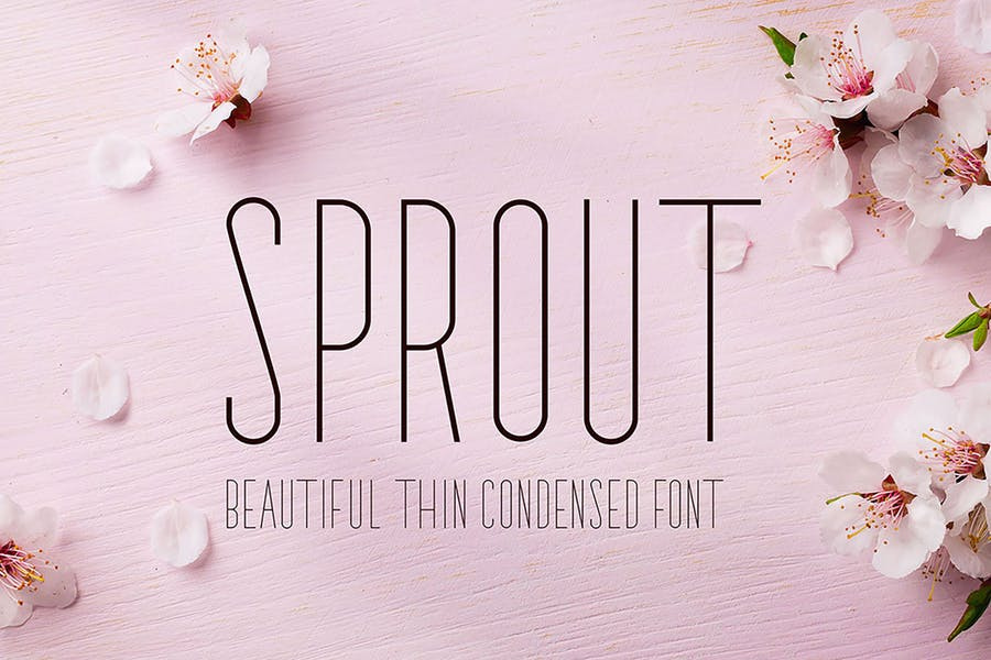 Sprout Font Free Download