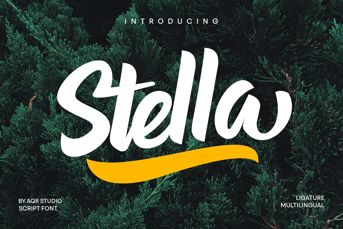 Stella Typeface Free Download