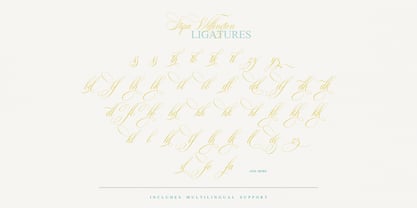 Stipa Willington Font Free Download